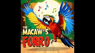 The Macaw’s Forró  Fun Kids Song with Brazilian Forró Rhythm  Educational Music for Children [upl. by Hull488]