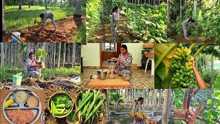 அவகேடோ🥑 இரம்புட்டான் 🌽சோள சந்தவைனு ஒரு புது விதமான அனுபவம்Vegetable harvsetingplanting new trees [upl. by Tabor]