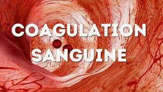 COMPRENDRE COAGULATION EN 9 MIN FACILE [upl. by Fay]