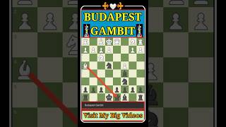 Budapest Gambit Chess game chess [upl. by Agnesse888]