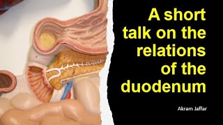 A short talk on the relations of the duodenum [upl. by Anotyad]