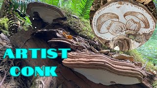 Artist Conk Mushroom Ganoderma Applanatum [upl. by Janetta396]