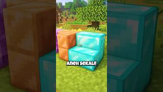 Block Paling ILLEGAL Di Minecraft [upl. by Aerehs]