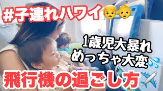 【子供 飛行機 動画】子連れ海外旅行の機内の過ごし方｜家族でハワイ旅行｜赤ちゃんのと長距離フライト搭乗記 [upl. by Parik206]