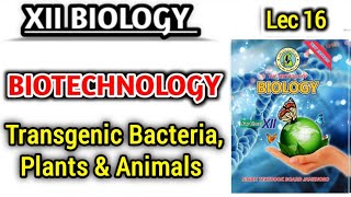 Transgenic Bacteria Plants and Animals lec 16  12th biology [upl. by Bowne469]