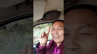 Chinese man drives on calmly despite hundreds of honeybees above his head shorts [upl. by Neetsuj]