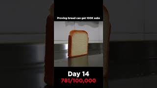 Day 14 Proving bread can get 100K subs memes shorts [upl. by Watanabe622]