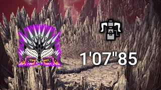 Ruiner Nergigante Heroics HBG 107quot85 [upl. by Anomar]