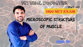 Microscopic structure of muscle fiber by Rahul sir  Muscular system  Physiology  PE UGC NET JRF [upl. by Jessa15]