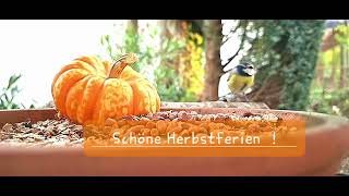 Schöne Herbstferien [upl. by Barnett]