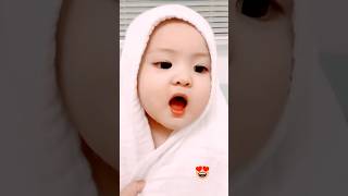 pA💕pAnew remix cute cats cat new remix trending funny viralshorts shortsfeed shortsviral [upl. by Hodgkinson]