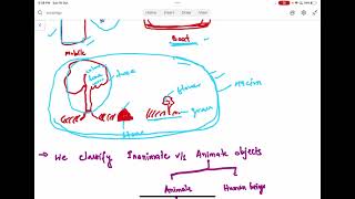 Phenomenology explained  phenomenological sociology  Husserl  Schutz [upl. by Hoes]