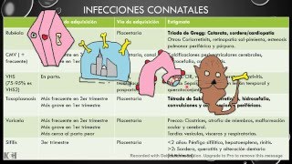 Neonatología ENARMMIR 2016 [upl. by Eanad]