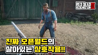 진짜 오픈월드 레데리2의 살아있는 NPC 상호작용 무기편  유사 오픈월드에선 안되는 것들 [upl. by Alyahc]