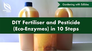 DIY Fertiliser amp Pesticide EcoEnzymes in 10 Steps [upl. by Yentruok]