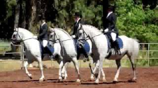 White Horse Vale Lipizzans  Slideshow [upl. by Eldreda]