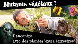 Mutants végétaux  Partons à la rencontre de plantes quotExtraterrestresquot [upl. by Baiel]