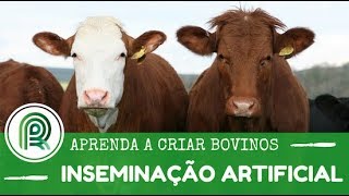 Aprenda a criar bovinos  Aula 3 inseminação artificial [upl. by Emearg]