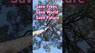 Save trees save world save future [upl. by Azral]