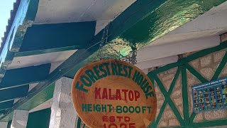 kalatop Forest Dalhousie Place enjoymenttime Meena Pala Official 7465 [upl. by Ainoyek]