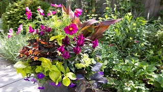 Chelsea flower show highlights 30 summer container ideaschelseaflowershow gardenideas rhsgarden [upl. by Ilenna299]