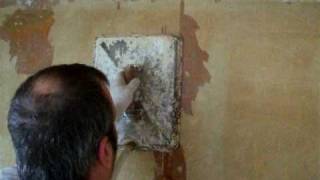 Wallpaper Removal  Miller Brothers  Steamer Demo [upl. by Nefen]