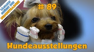 TGH 89  Rasse  Hundeausstellungen  Hundeschule Stadtfelle [upl. by Sheri654]