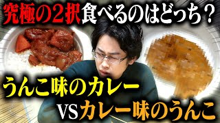 【検証】実際に「うんこ味のカレー」と「カレー味のうんこ」が目の前に置いてあったらどっちを食べるのか？究極の2択を検証してみたwww [upl. by Mcgregor]