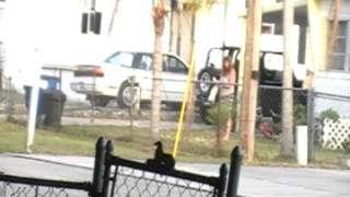 Crazy neighbor ladyTrash talking neighbor Palmona Park North Fort Myers Florida [upl. by Neelehtak]