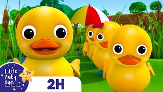 6 Little Ducks  Best Baby Songs  Nursery Rhymes for Babies  Little Baby Bum [upl. by Demmahom196]