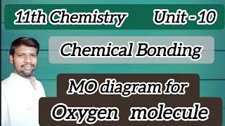 MO diagram for Oxygen molecule  11th Chemistry  Chemical Bonding  Explanation in tamil [upl. by Nahtanohj649]