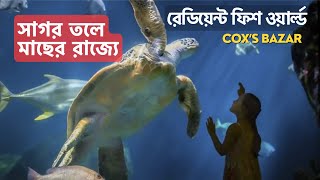 Radiant Fish World Coxs Bazar  Fish World Ticket Price  Fish World Location in coxs bazar [upl. by Neill566]