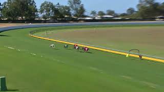 Bundaberg09092024Race8 [upl. by Noinatrad814]