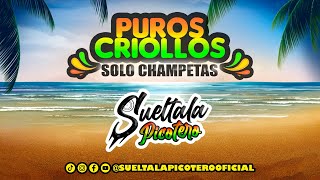 Puros Criollos Solo Champeta Sueltala Picotero  SueltalaPicotero [upl. by Romelda974]