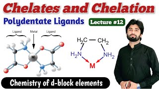 Chelates in Coordination Compounds  Ligands and thier Classification  Polydentate Ligands [upl. by Eleinad935]