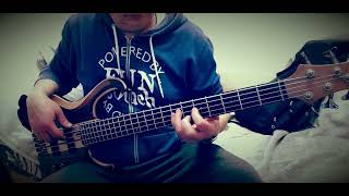 Pink Floyd  Coming Back To Lifequot  Bass cover [upl. by Bronwen]