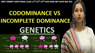 CODOMINANCE amp INCOMPLETE DOMINANCE Difference I Genetics I NEET CSIRNET IITJAM GATE CLASS 11 12 10 [upl. by Durgy]