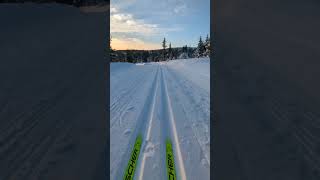 XC skiing in Norway  Sjusjoen [upl. by Zere]