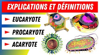 Eucaryotes Procaryotes Acaryotes Comment les distinguer [upl. by Lorianna]