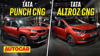 Tata Punch CNG  Tata Altroz CNG  Boot space unlocked  Auto Expo 2023  Autocar India [upl. by Sheedy]