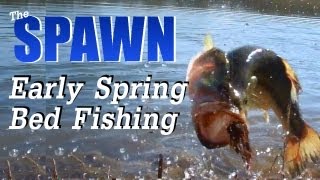 Early Spawn Bed Fishing Hat Cam Bass [upl. by Sherman748]