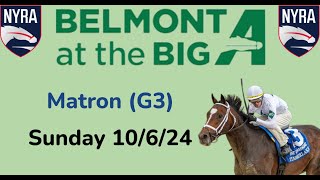 Belmont at the Big A Sunday 10624 Selections  Full Card [upl. by Eilsehc]