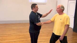 Tai Chi Power vs Method and Technique [upl. by Ayt]