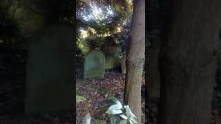 200 Year Old Churchyard  South Cave  Yorkshire Full Video Airs Sun 6th Oct [upl. by Airdna]