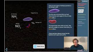 Lab 4 13 Nitrogen Cycles Case Pt 1 of 2 [upl. by Nomar]