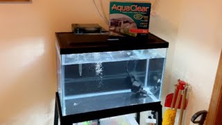 Aquaclear 50 For 20 Gallon Aquarium Saltwater Conversion [upl. by Narcissus]