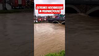 Extremes Hochwasser in PrudnikPolen heavyrain hochwasser polen prudnik viralvideo foryou [upl. by Vacla602]