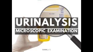 AUBF  Microscopic Examination of Urine [upl. by Hgielrebmik]