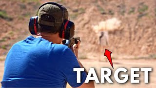 How to Pattern Your Shotgun for Better Accuracy with Jason Hanson [upl. by Eiramanad582]