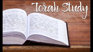 🌟 Journey In Beshalach with Rabbi Chaim Steinmetz Torahs Hidden Gems in Weekly Dvar Torah 5781 [upl. by Anirav]